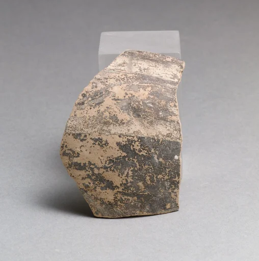 Vase fragment