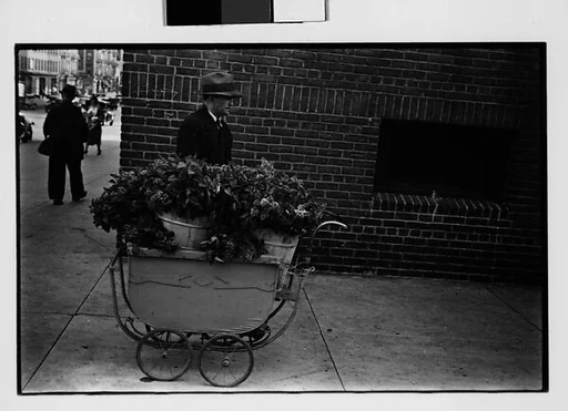 [Two 35mm Film Frames: Vendor with Flowers in Baby Carriage on Sidewalk]