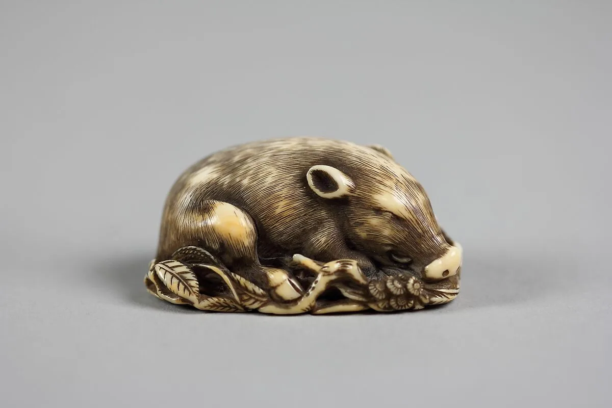 猪牙彫根付|Boar — Tomotada
