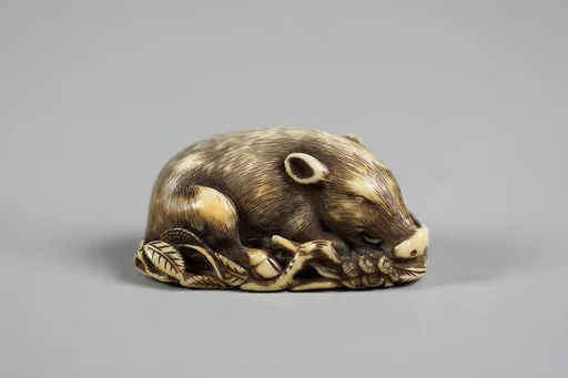 猪牙彫根付|Boar