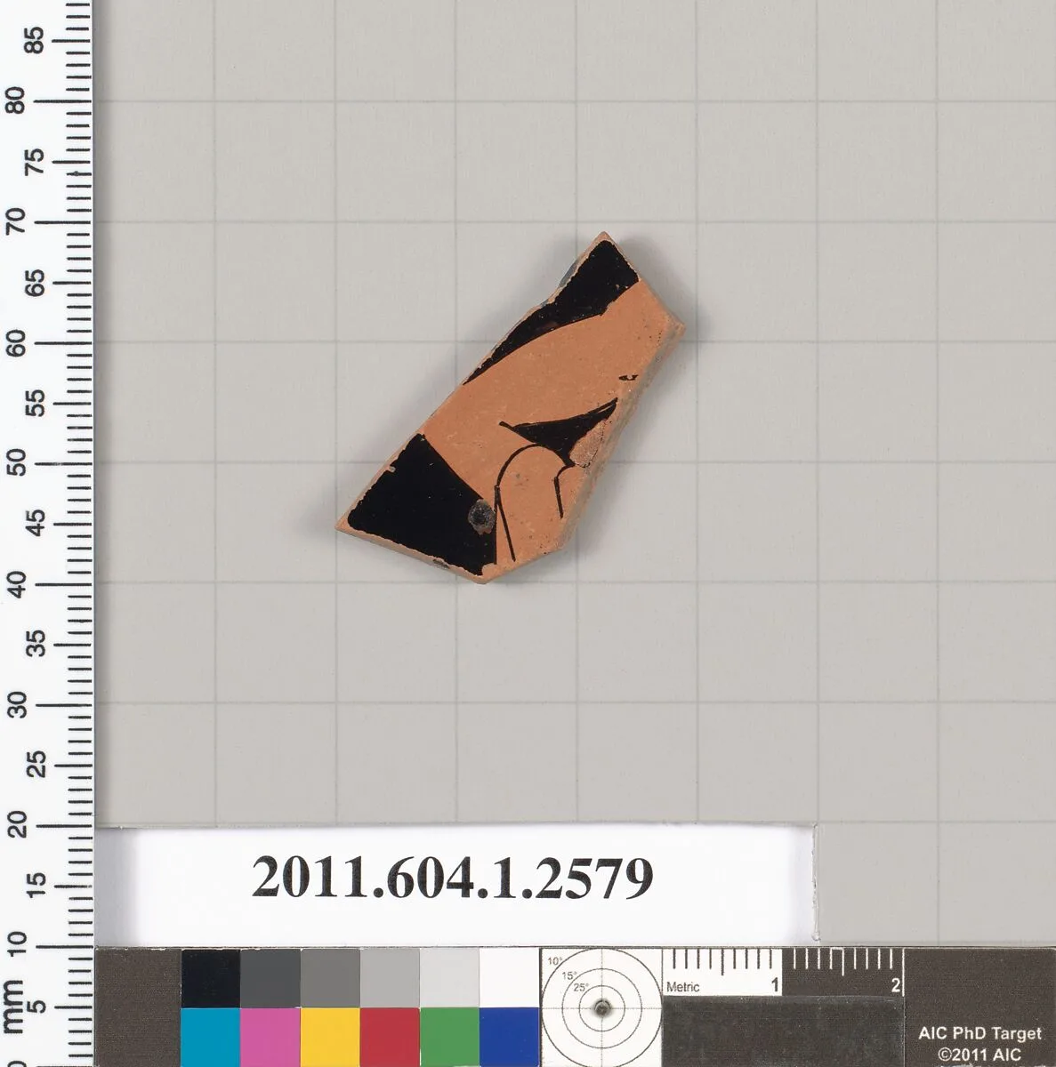 Terracotta fragment of a kylix (drinking cup) — Unknown