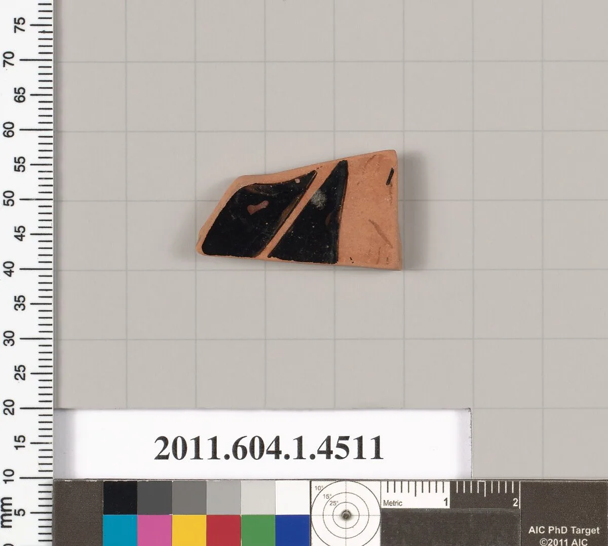 Terracotta fragment of a kylix (drinking cup) — Unknown