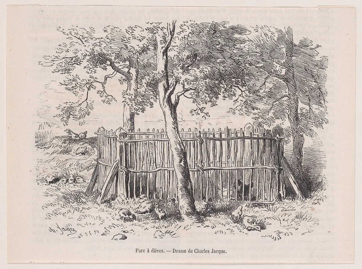 Parc à élèves; from Magasin Pittoresque — Charles Jacque