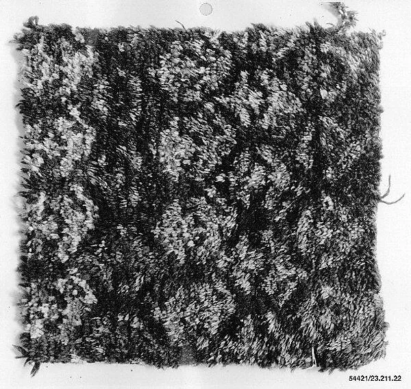 Carpet Fragment — Unknown