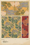 Cinéraires (Cinerarias), pl. 26 — A. Calavas|Emile-Allain Séguy