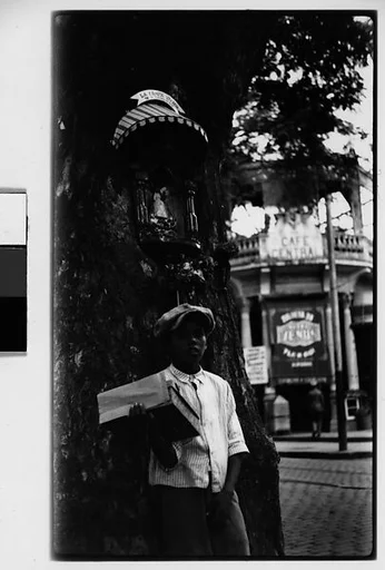 [Boy in Cap Underneath Tree, Havana]