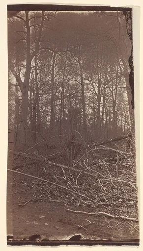 [The Wilderness Battlefield]
