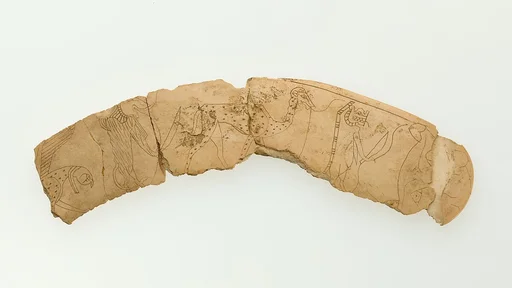 Magic wand fragment