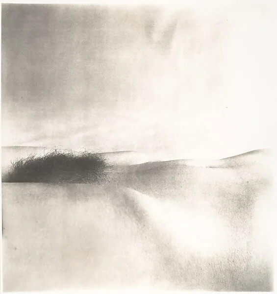 Nude No. 43 — Irving Penn