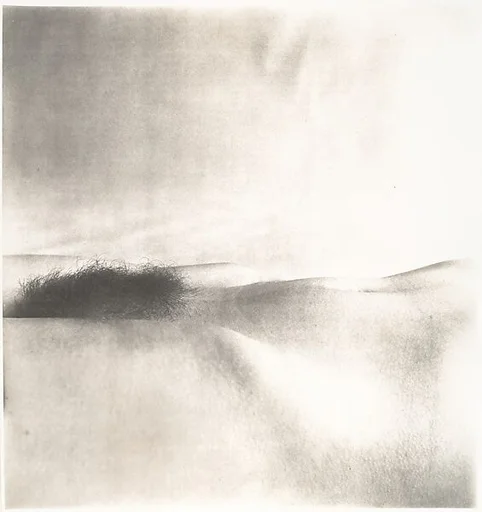 Nude No. 43