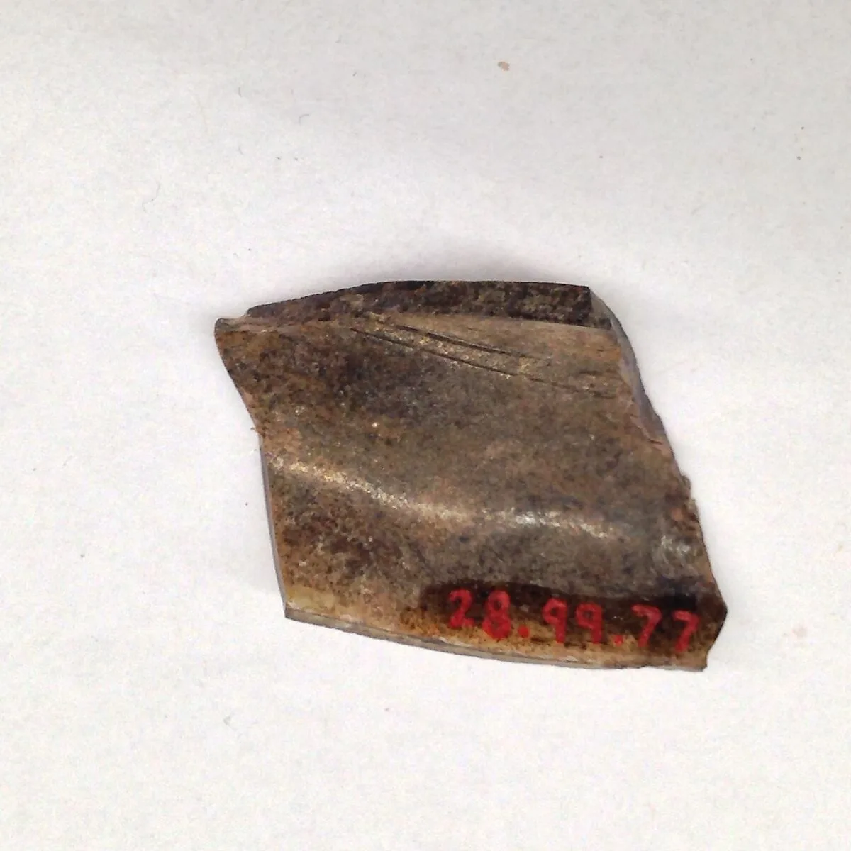 Fragment — Unknown