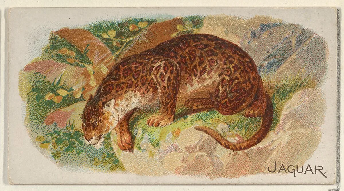 Jaguar, from the Quadrupeds series (N21) for Allen & Ginter Cigarettes — Allen & Ginter|Lindner, Eddy & Claus