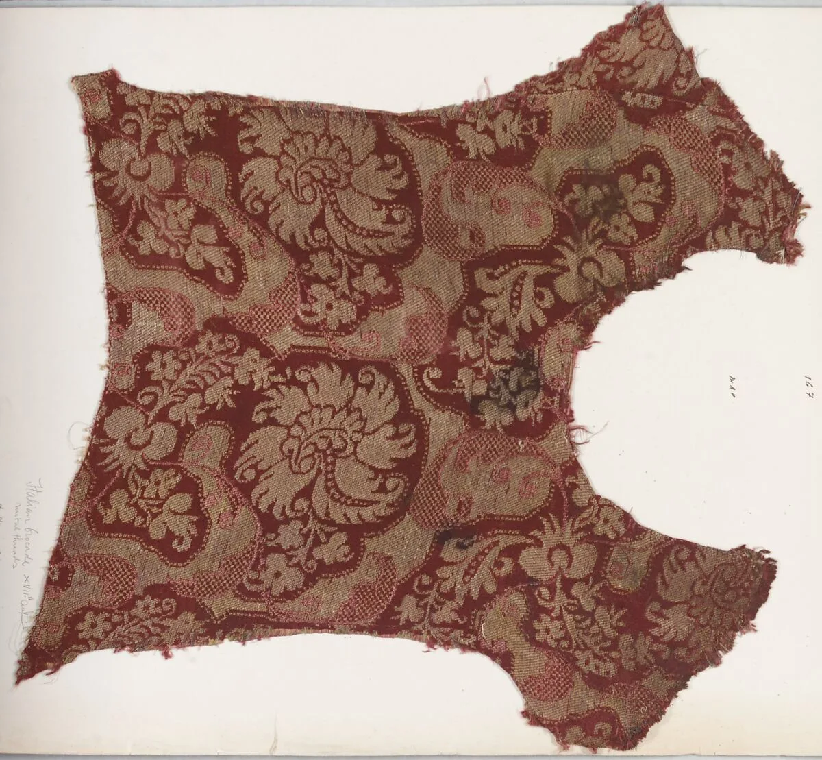 Fragment — Unknown