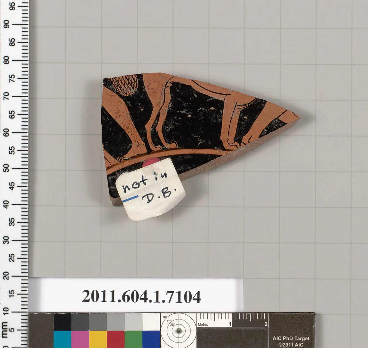 Terracotta fragment of a kylix (drinking cup) — Unknown