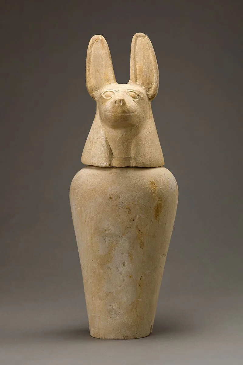 Canopic jar with jackal head — Unknown