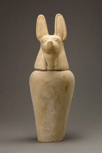 Canopic jar with jackal head