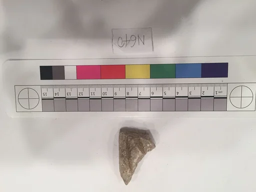 Stucco Fragment