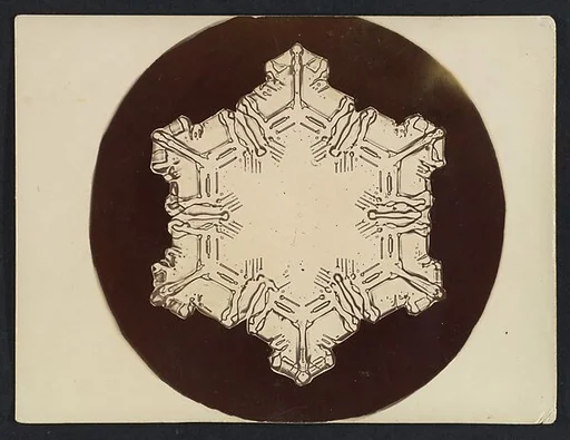 [Snow Crystal]