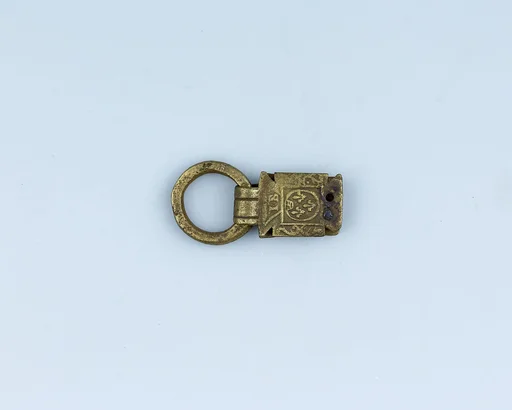 Ring for Strap