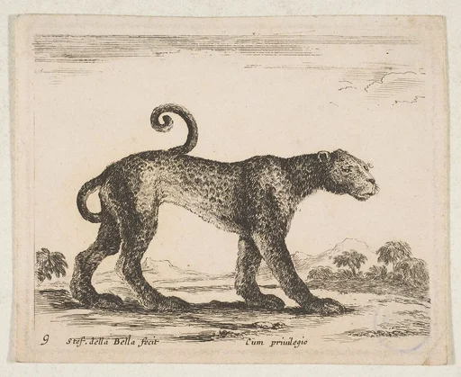 Plate 9: Leopard, from "Various animals" (Diversi animali)