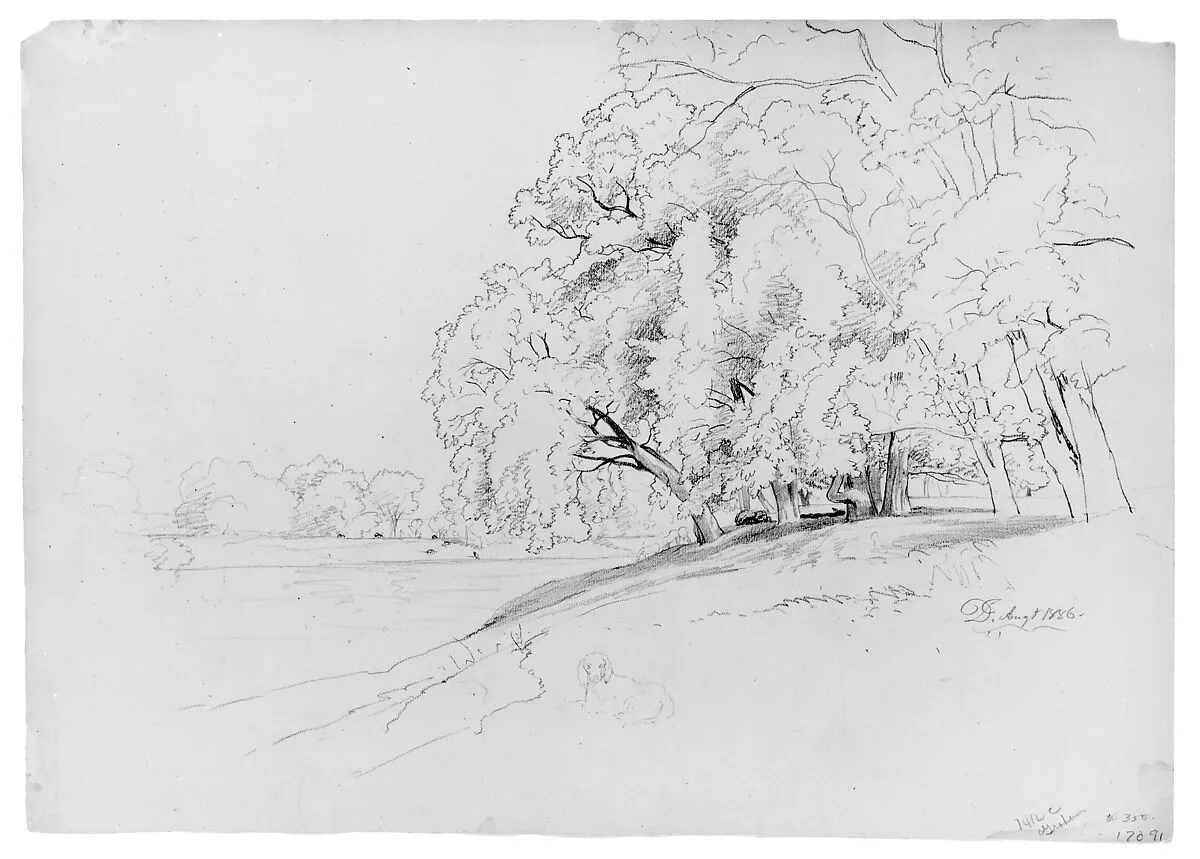 Trees and Dog — David Johnson