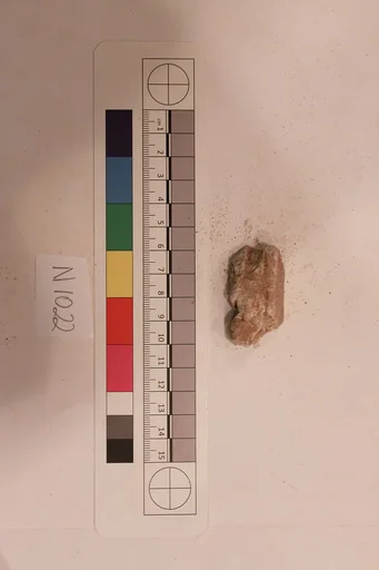 Stucco Fragment