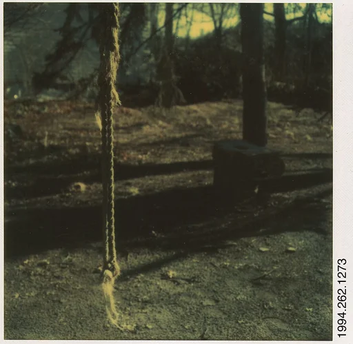 [Hanging Rope]