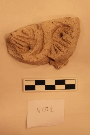 Stucco Fragment