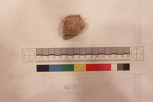 Stucco Fragment