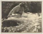 The Brook