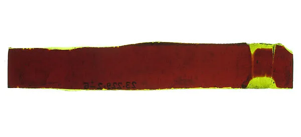 Glass Fragment — Unknown