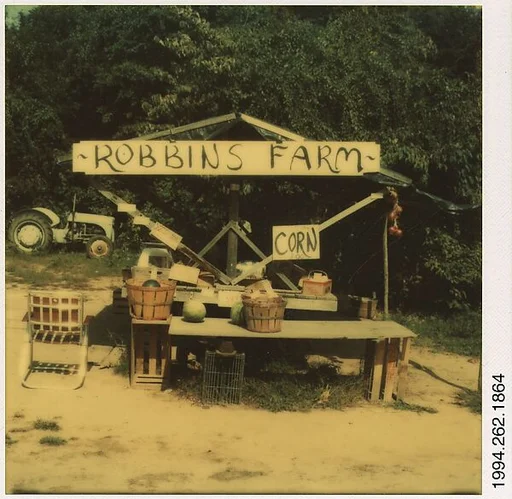 [Roadside Fruit and Vegetable Stand: "Robbins Farm"]
