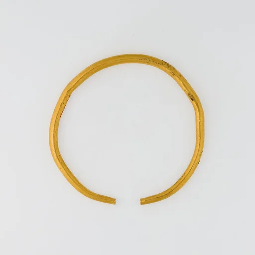 Hoop Earring