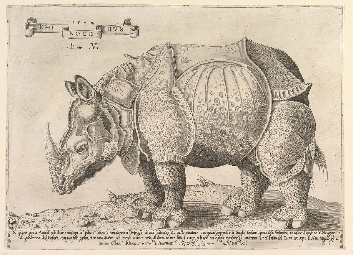 Rhinoceros — Enea Vico|Albrecht Dürer|Antonio Salamanca