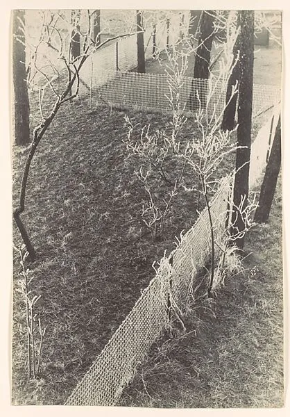 Vor meinem Fenster — Josef Albers