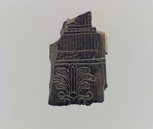 Plaque fragment