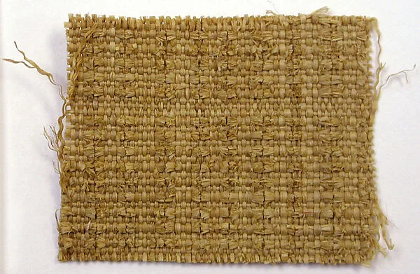 Panel Fragment — Unknown