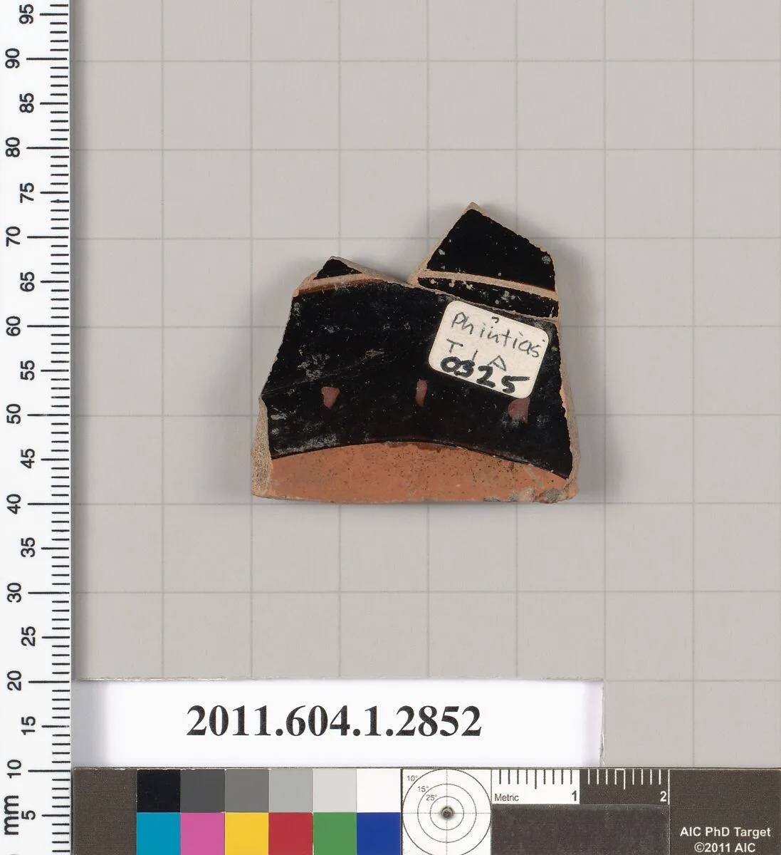Terracotta fragment of a kylix (drinking cup) — Unknown