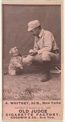 Arthur "Art" Wilson Whitney, 3rd Base, New York, from the Old Judge series (N172) for Old Judge Cigarettes