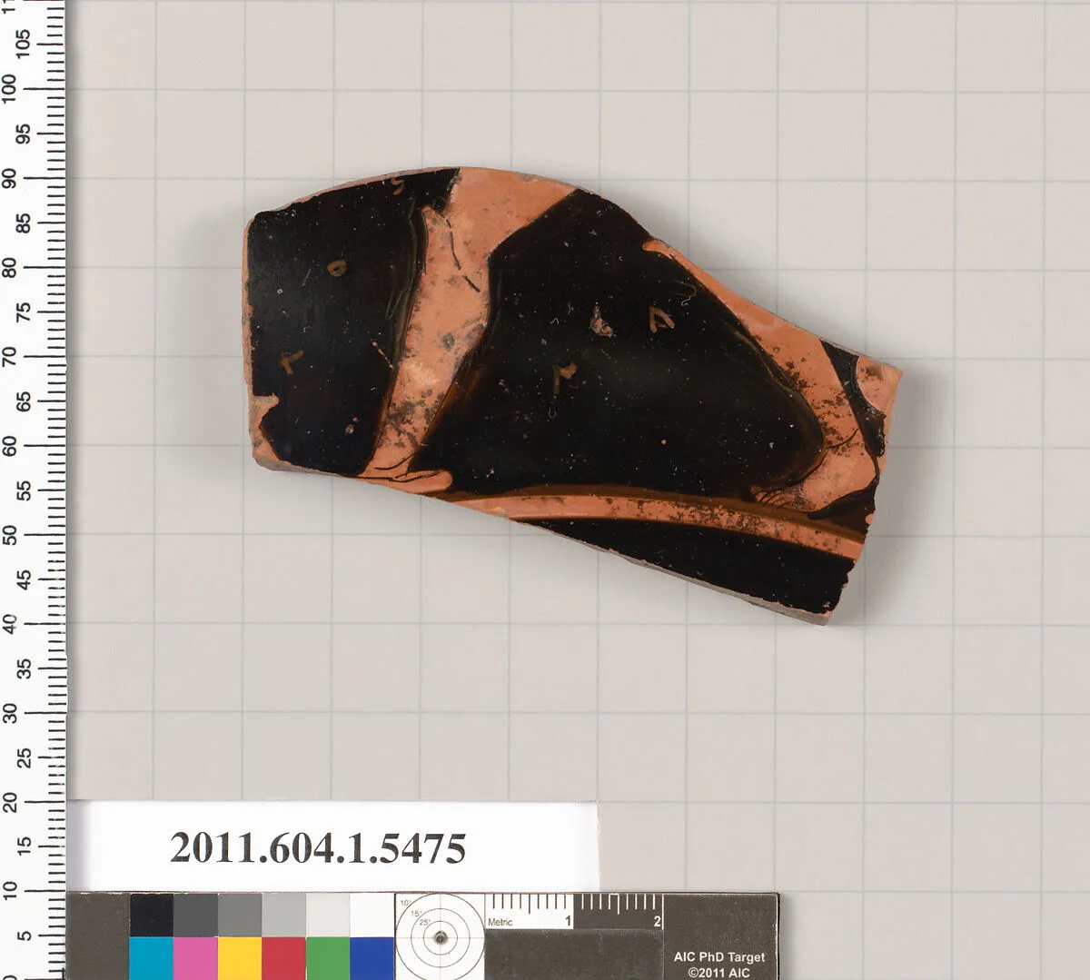 Terracotta fragment of a kylix (drinking cup) — Unknown