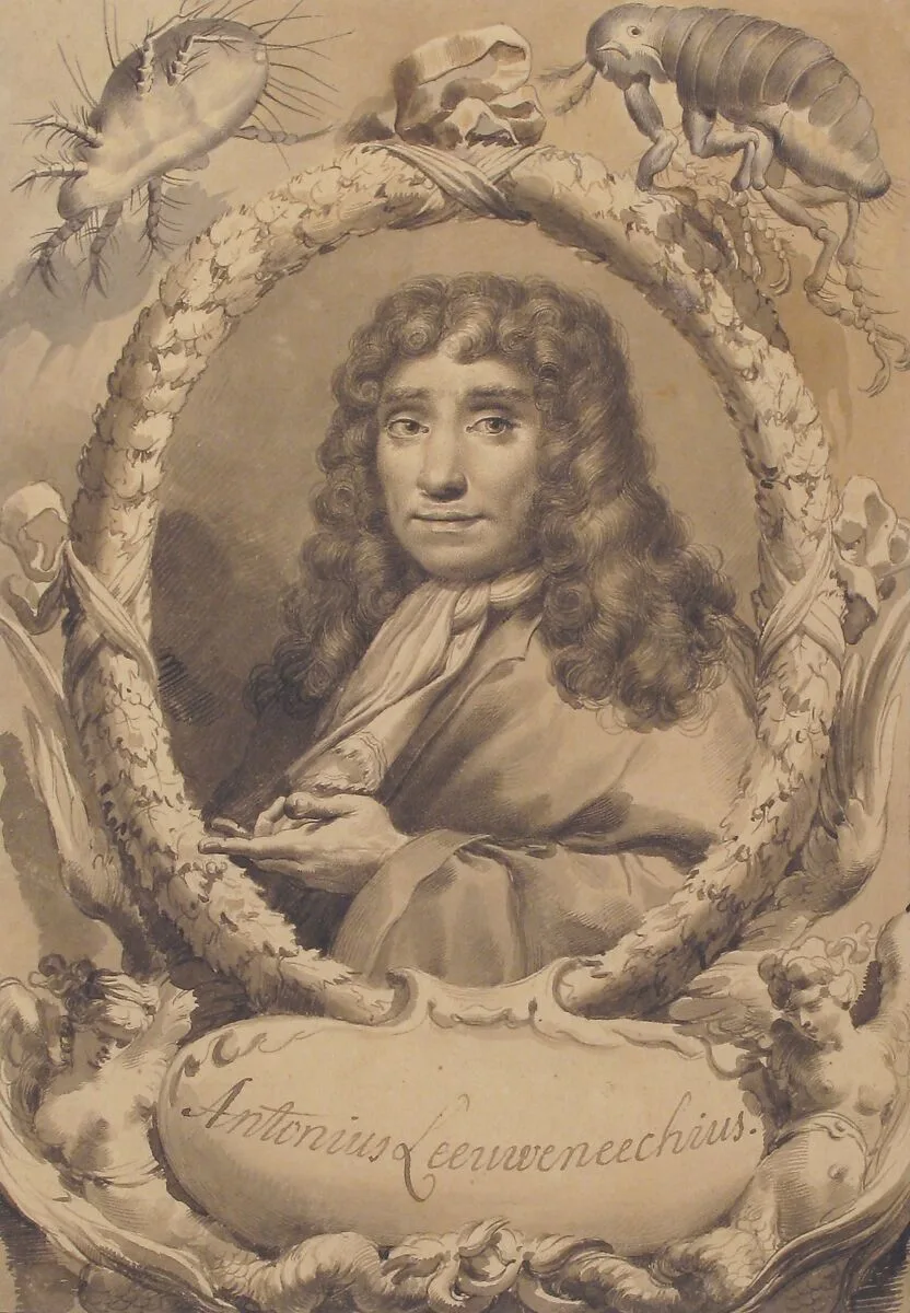 The Dutch Microscopist Anton van Leeuwenhoek — Gaetano Gandolfi