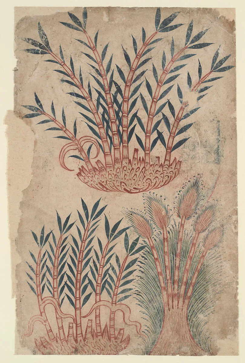 "Three Bamboo Plants," Folio from a De Materia Medica — Unknown