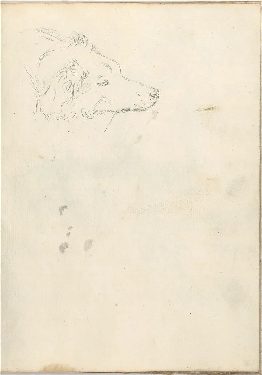 Head of a Dog (Smaller Italian Sketchbook, leaf 35 recto) — Joseph Wright (Wright of Derby)