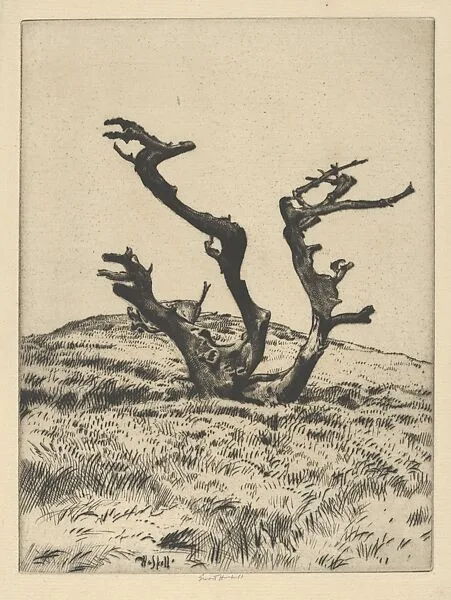 Three Witches — Ernest Haskell