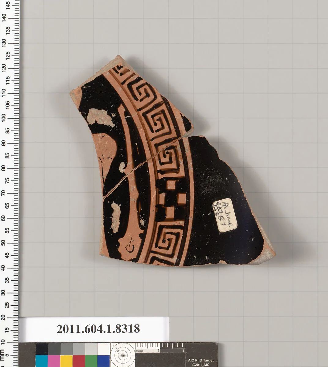 Terracotta fragment of a kylix (drinking cup) — Unknown