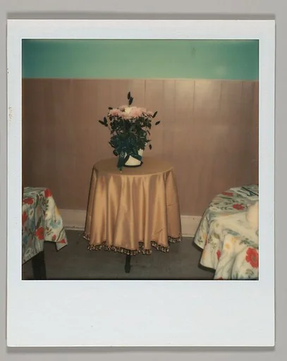 [Floral Still-Life on Tabletop]