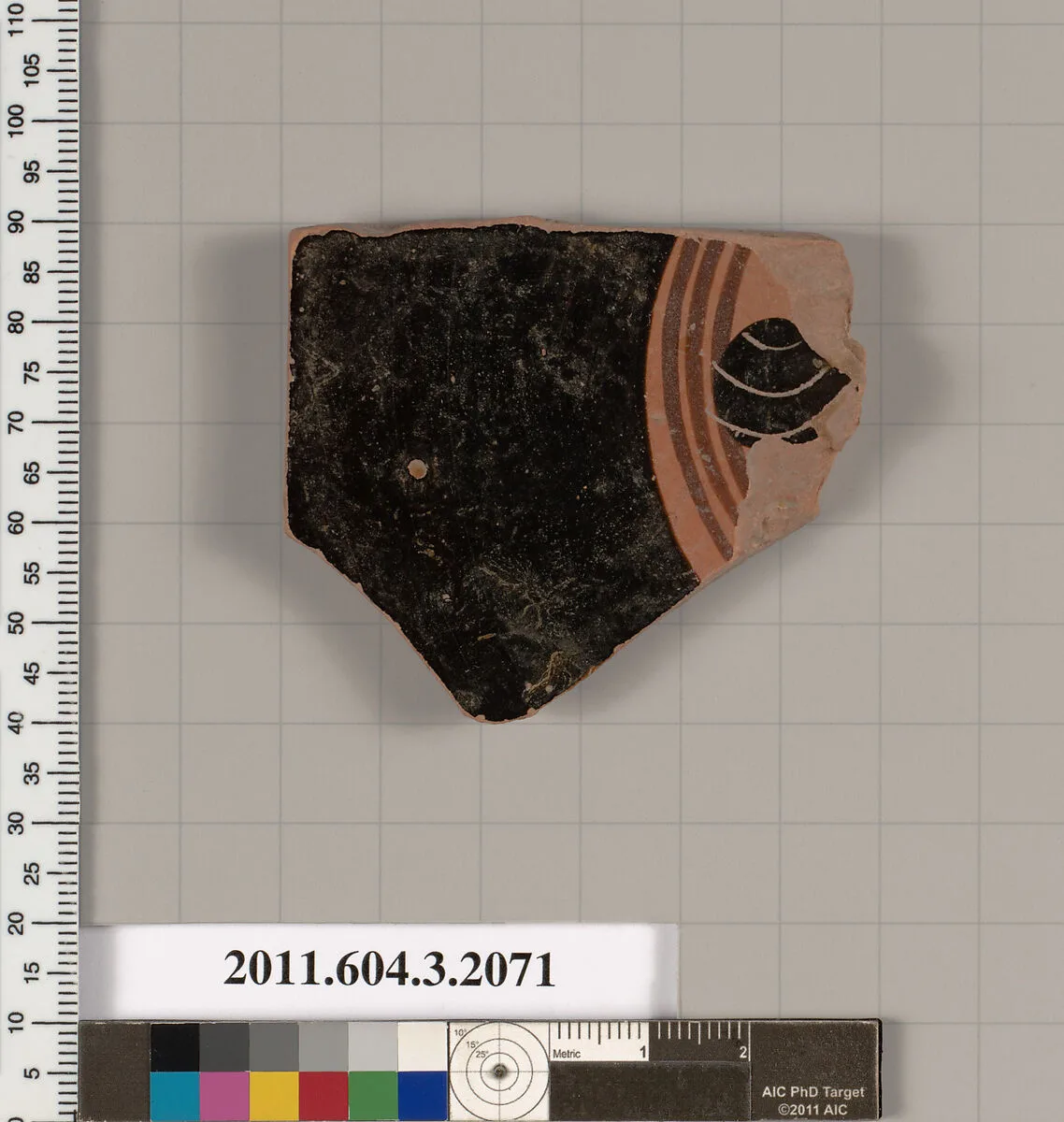 Terracotta fragment of a kylix (drinking cup) — Unknown