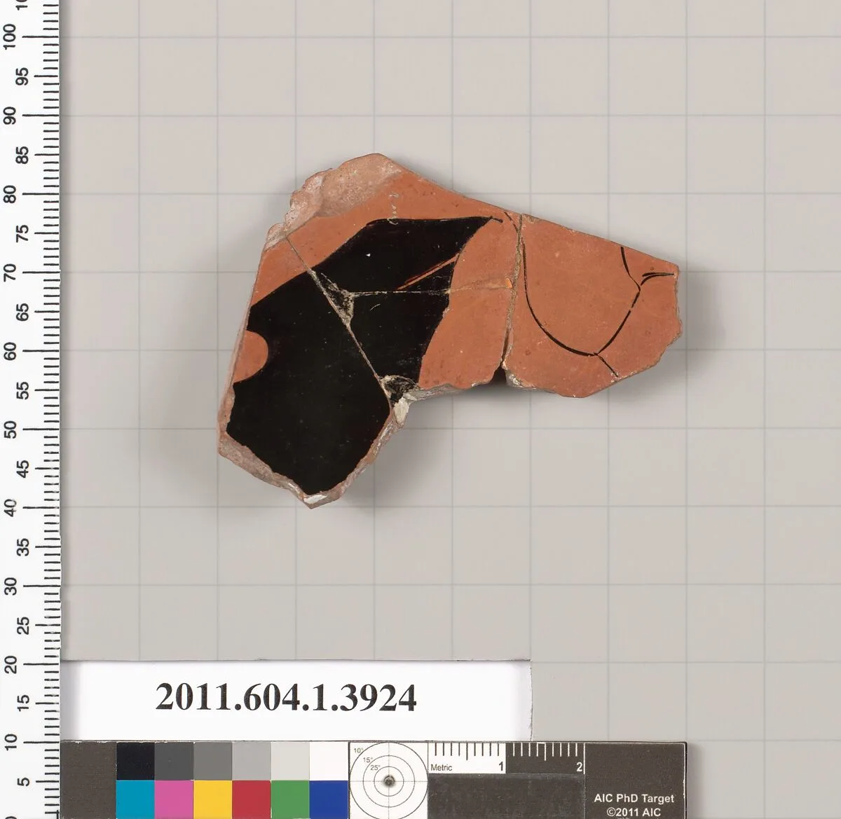 Terracotta fragment of a kylix (drinking cup) — Unknown