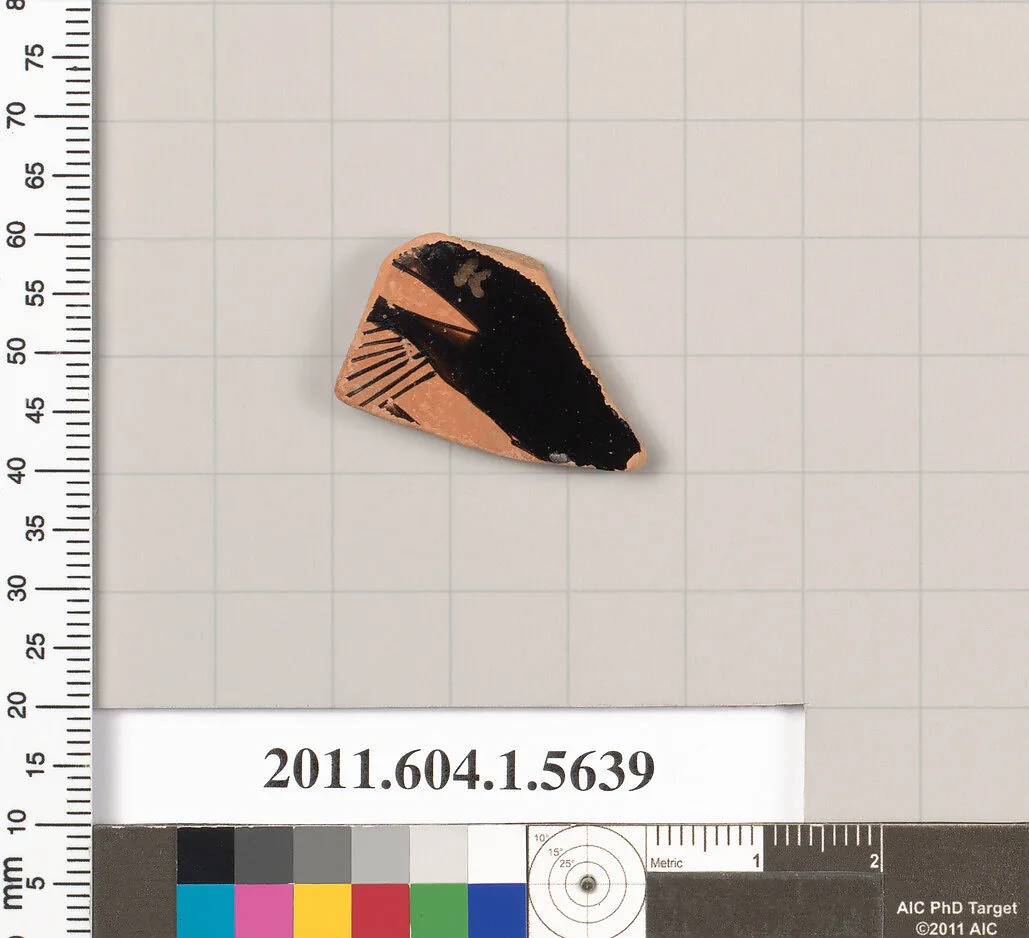 Terracotta fragment of a kylix (drinking cup) — Unknown