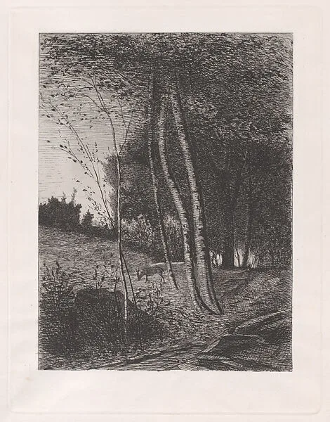 Alpine pasture (Pascolo alpestre) — Angelo di Cervignasco
